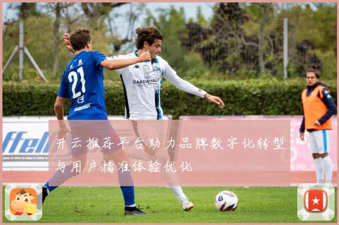 开云推荐平台助力品牌数字化转型与用户精准体验优化