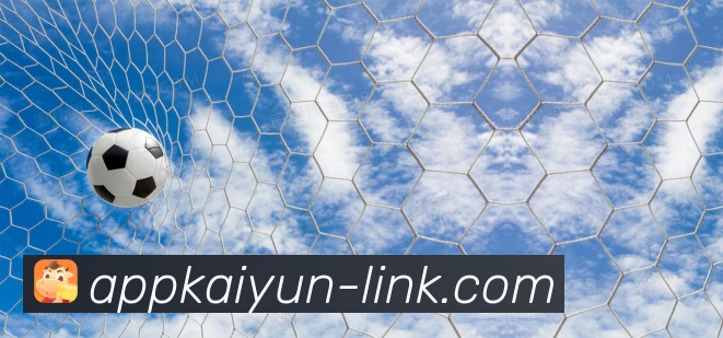 开云平台展示图